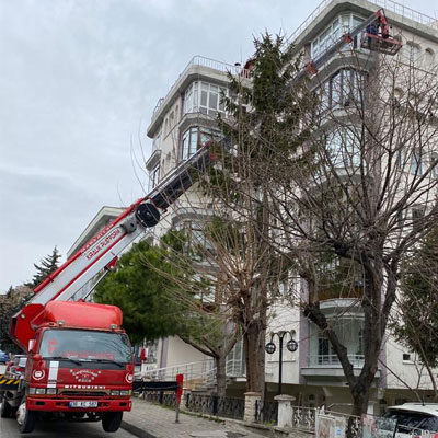 avrupa yakası sepetli vinç